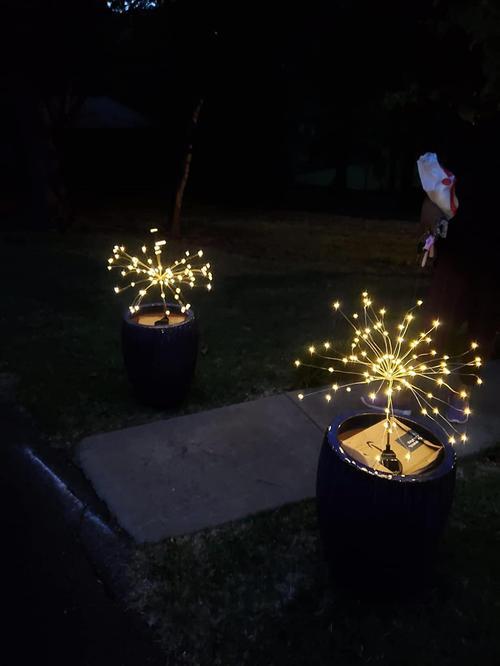 Solar Powered LED Stake Lights for Outdoor Decorating photo review