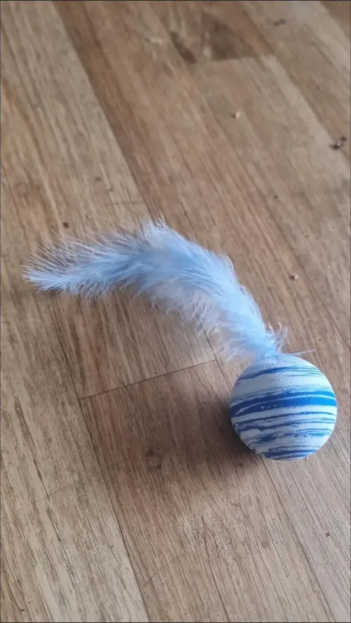 Star Ball Feather Toy for Cats - Funny Throwing Foam Ball with Texture photo review