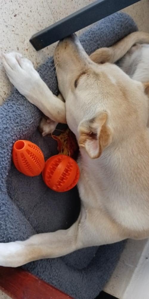 Stretchy Rubber Leaking Ball for Dogs - Funny Pet Tooth Cleaning Toys photo review