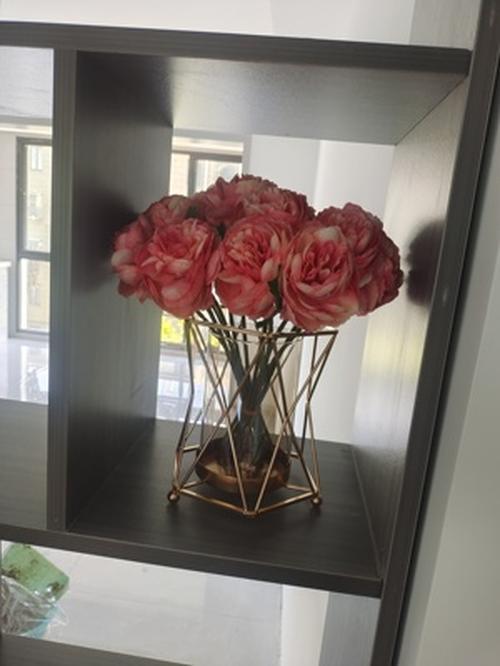 Style Transparent Iron Vase for Home Decor photo review