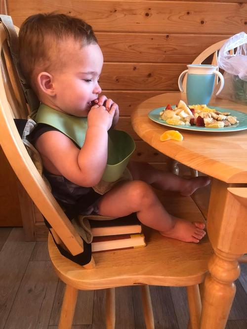 Travel High Chair for Babies, Portable High Chair for Baby, Travel High Chair for Toddlers with Adjustable Straps photo review