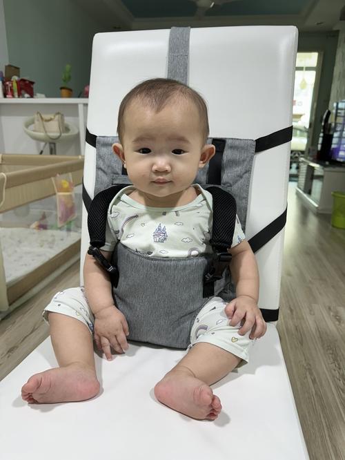 Travel High Chair for Babies, Portable High Chair for Baby, Travel High Chair for Toddlers with Adjustable Straps photo review