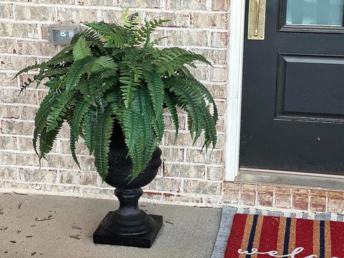 Uv Resistant Lifelike Artificial Boston Fern For Outdoors, 60 leaves 55cm photo review