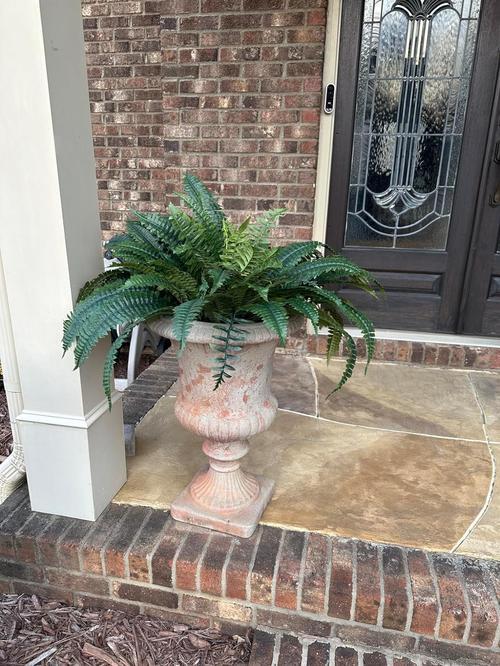 Uv Resistant Lifelike Artificial Boston Fern For Outdoors, 60 leaves 55cm photo review