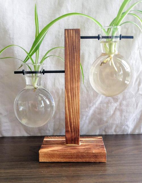 Vintage Terrarium Hydroponic Plant Vases for Home Decor photo review