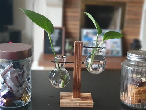 Vintage Terrarium Hydroponic Plant Vases for Home Decor photo review