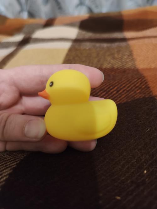 Yellow Duck Chewing Toy for Puppy Teeth Cleaning - Interactive Unzip Squeaky Toy photo review